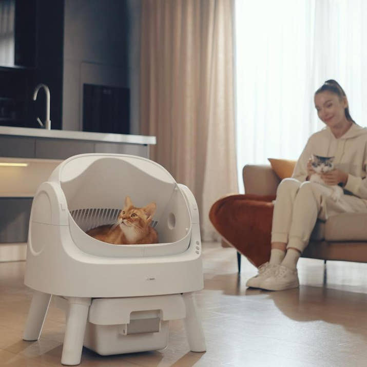 IceyButNice™ AutoClean Litter Box