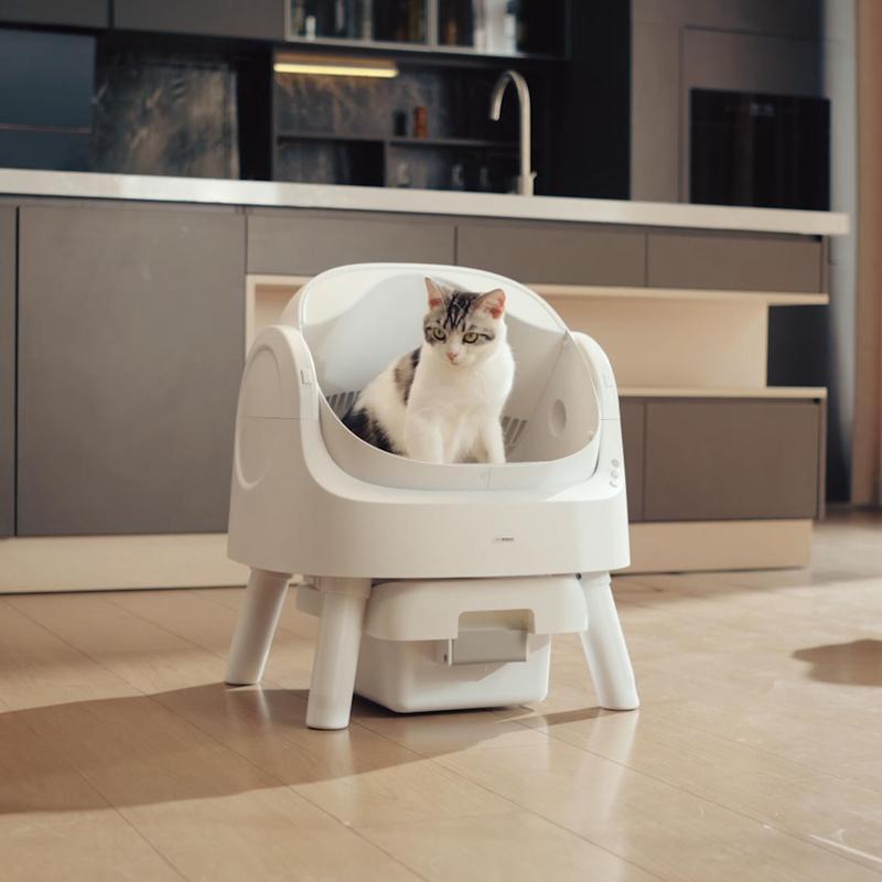 IceyButNice™ AutoClean Litter Box
