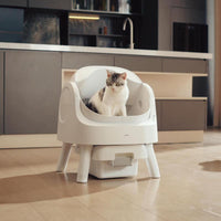 IceyButNice™ AutoClean Litter Box