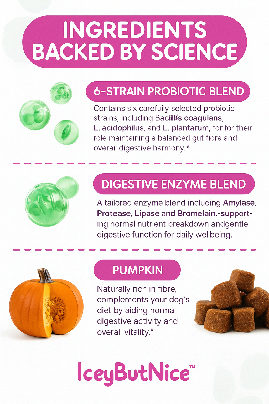 IceyButNice™ Probiotic tablets