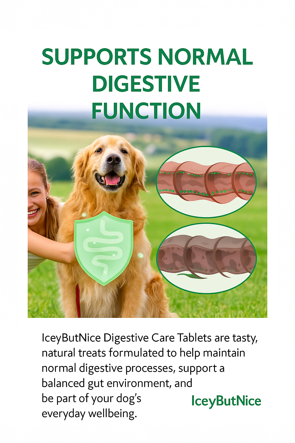 IceyButNice™ Probiotic tablets