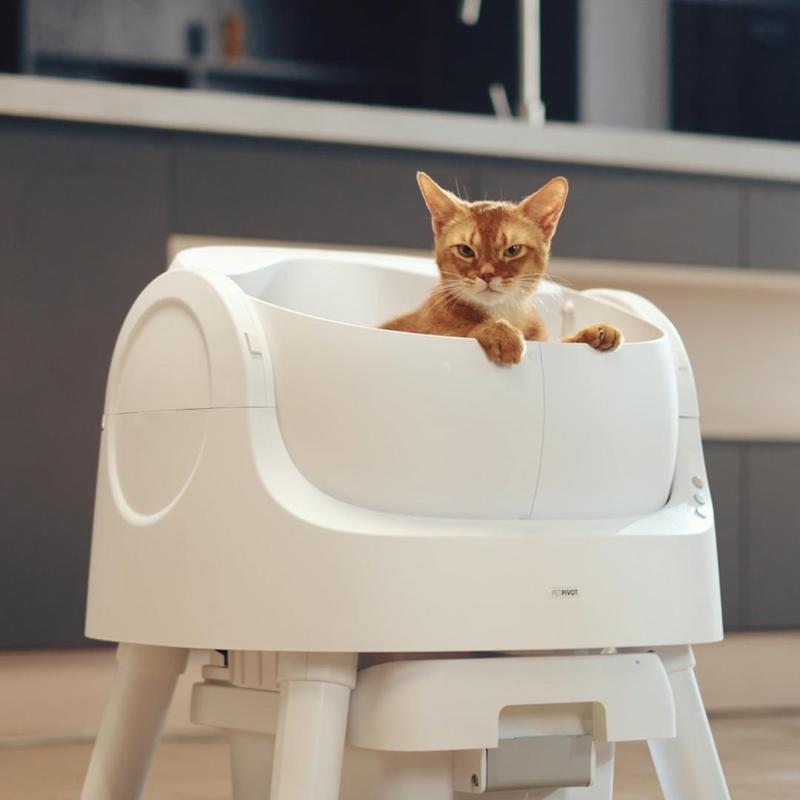 IceyButNice™ AutoClean Litter Box